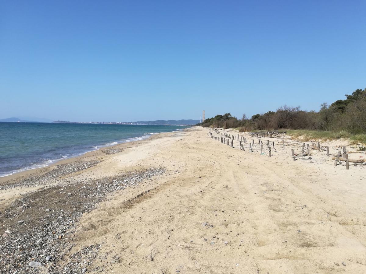 Villaggio Mare Verde Riotorto Zewnętrze zdjęcie