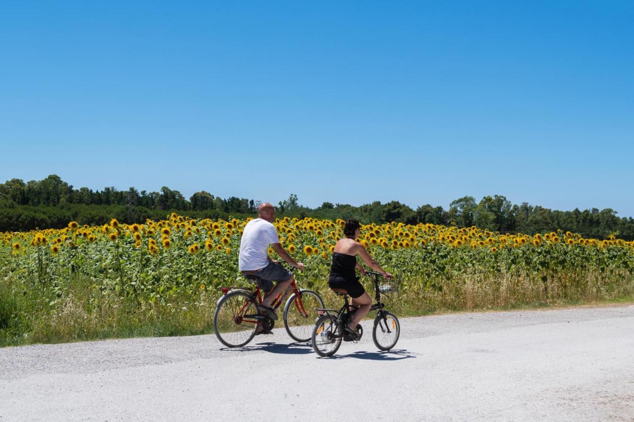 Villaggio Mare Verde Riotorto Zewnętrze zdjęcie